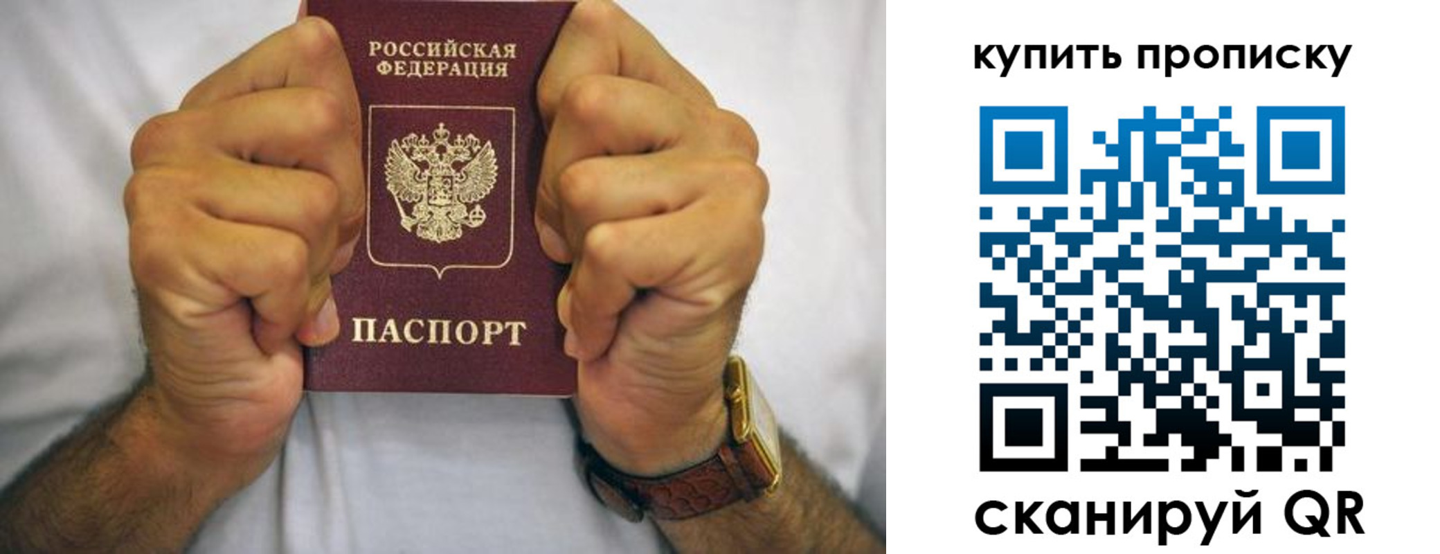 пропишу в квартире в Шлиссельбурге
