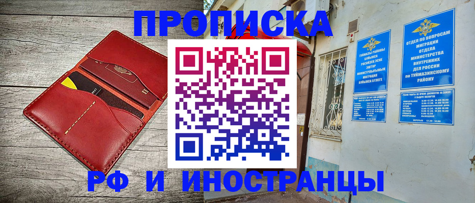 временная регистрация поиск в Шлиссельбурге
